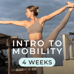 Intro to Mobility