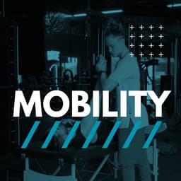 Mobility & Stretch