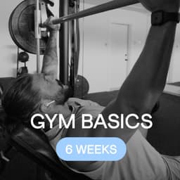 Gym Basics