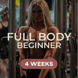 Full Body (Beginner)