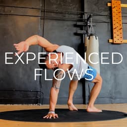 Experienced Flows