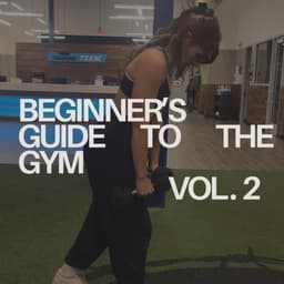 Beginner's Guide Vol 2