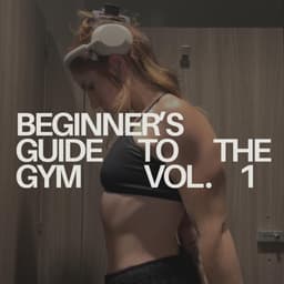 Beginner’s Guide