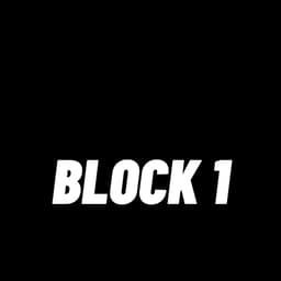 BLOCK 1