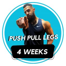 PUSH PULL LEGS