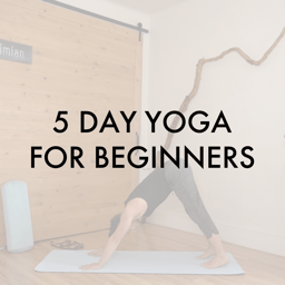 Beginner Yoga Program