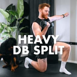 Heavy DB Split